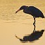 thumbs/IMG_1073.jpg